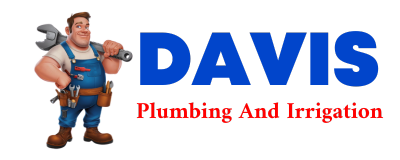 Trusted plumber in THORP